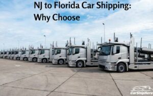 NJ to Florida Car Shipping: Why Choose